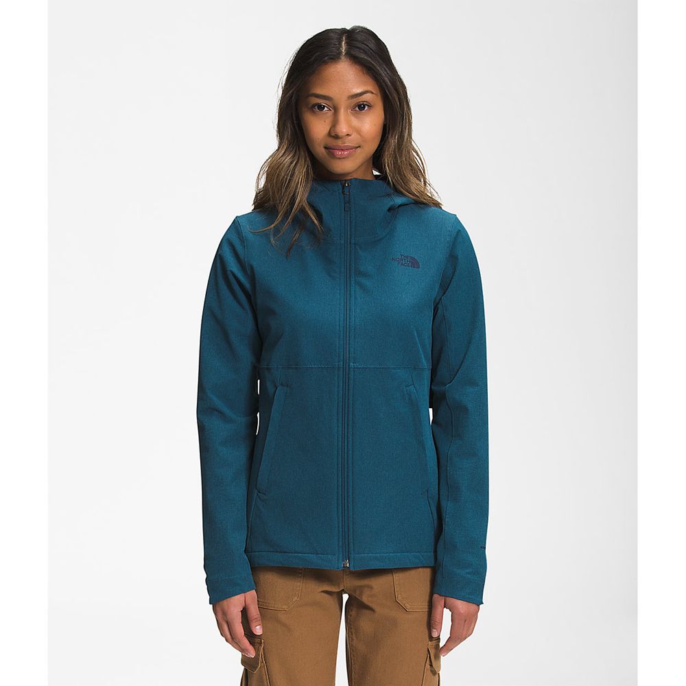 The North Face Hooded Jacket Womens Australia - The North Face Shelbe Raschel Blue (ZLC-695302)